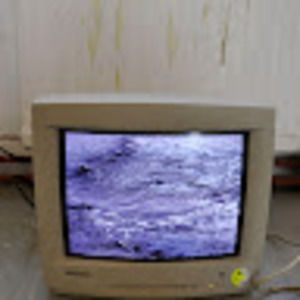 Meet your Posher, Kira